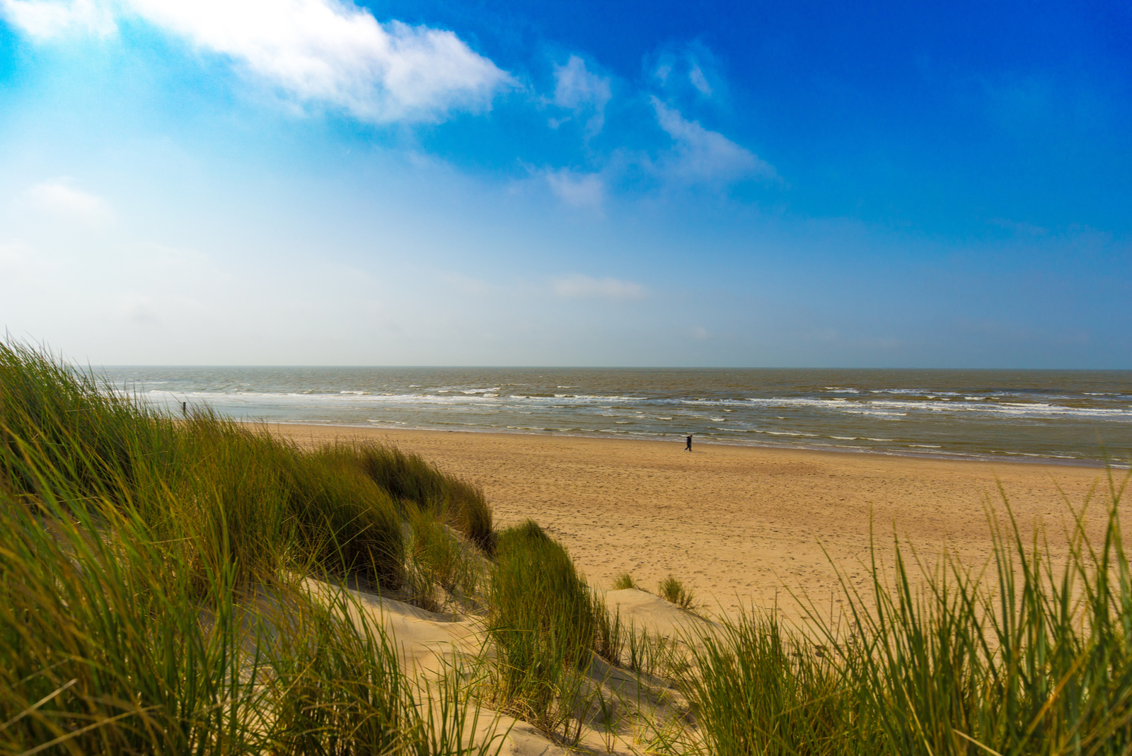 mer de haan dunes