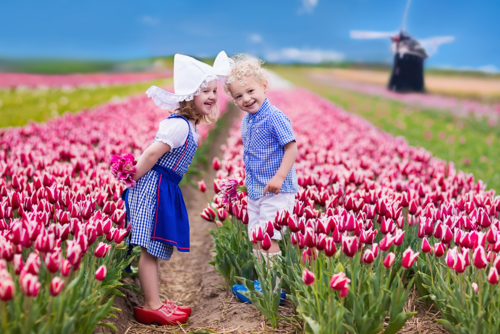 nederland tulpen keukenhof