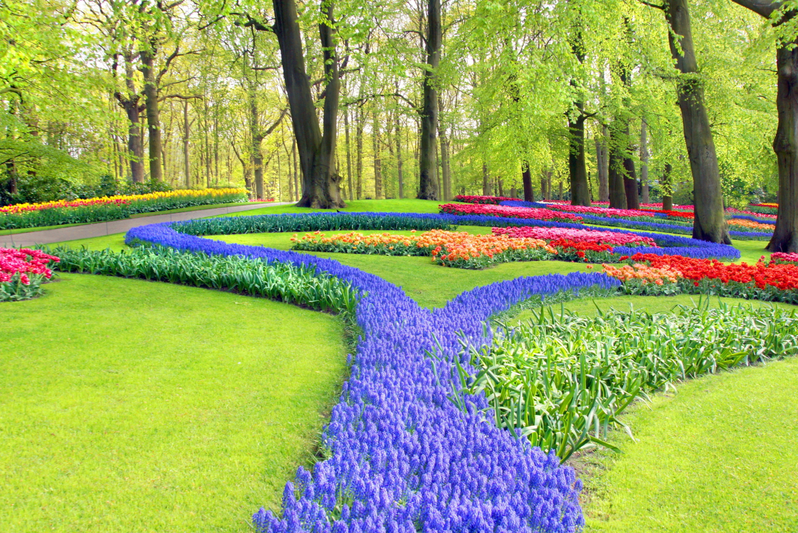 keukenhof nederland