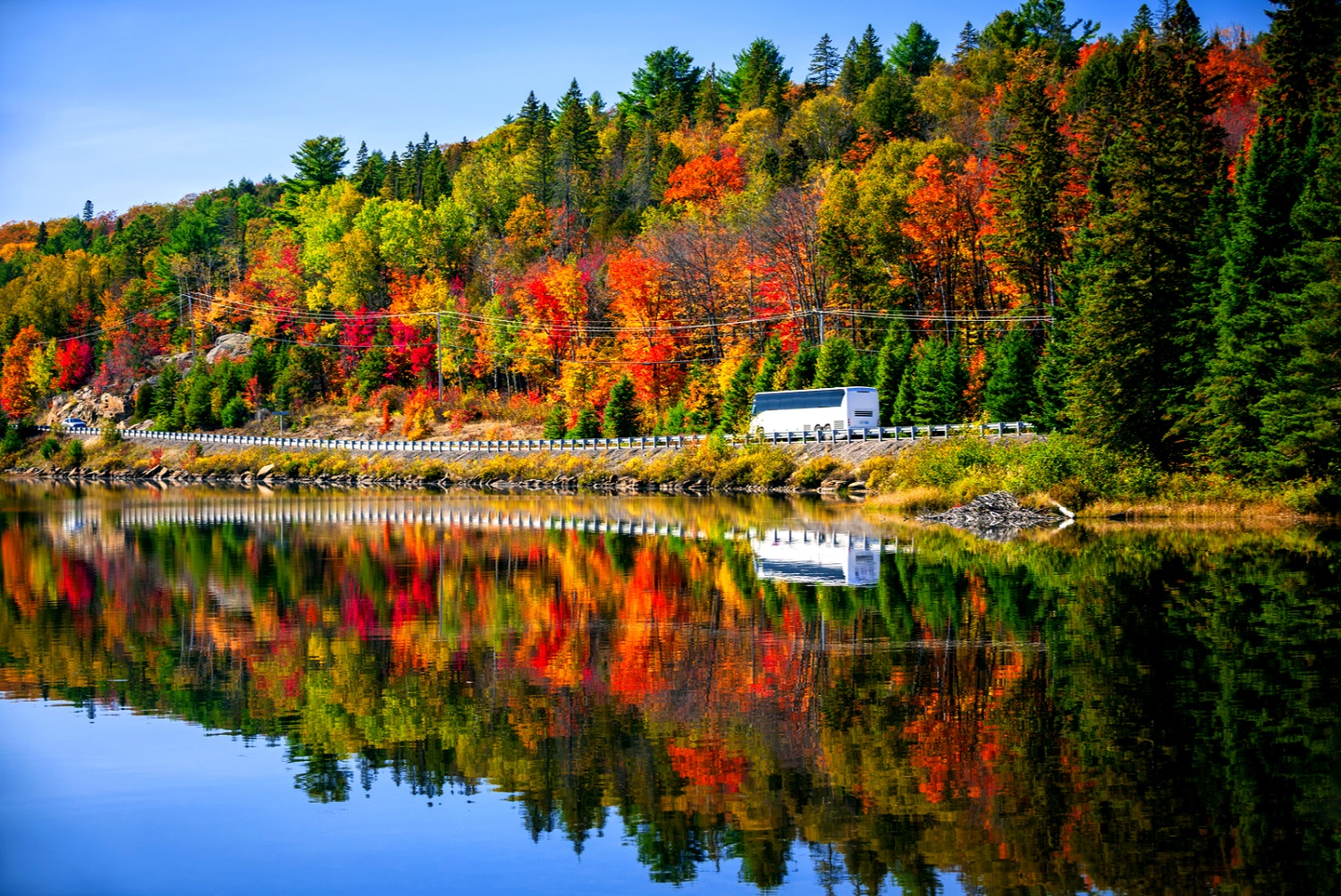 autocar bus automne voyage