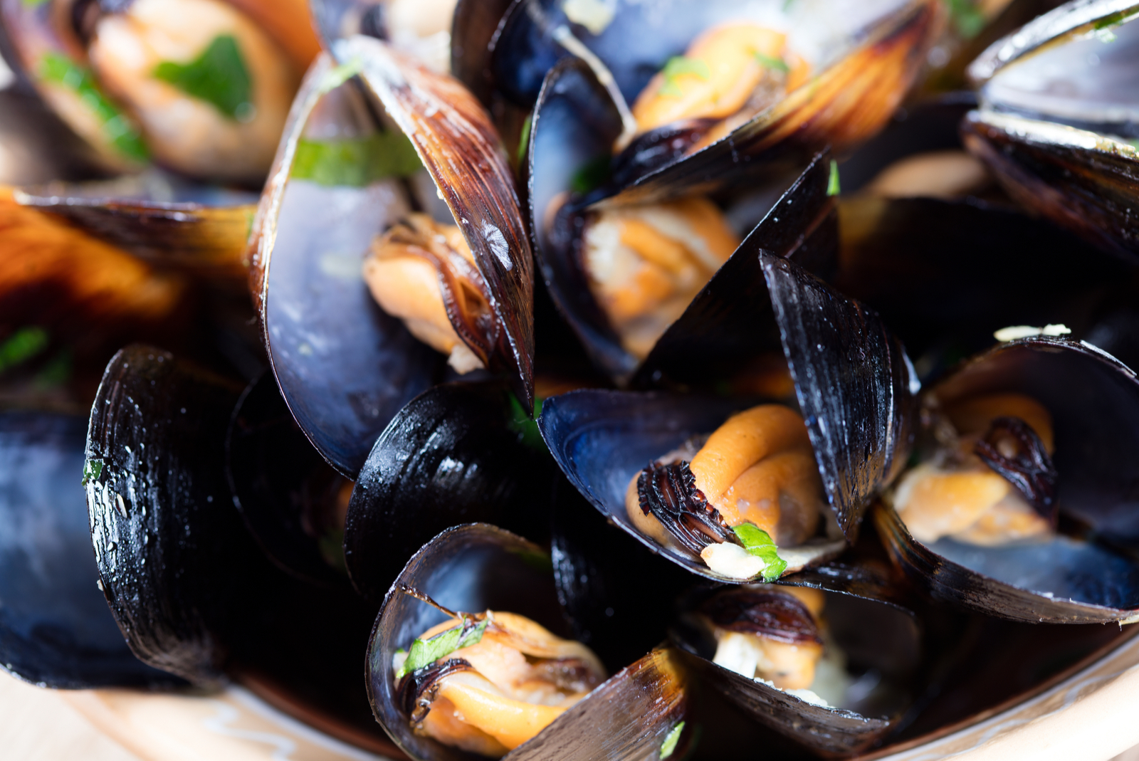 moules