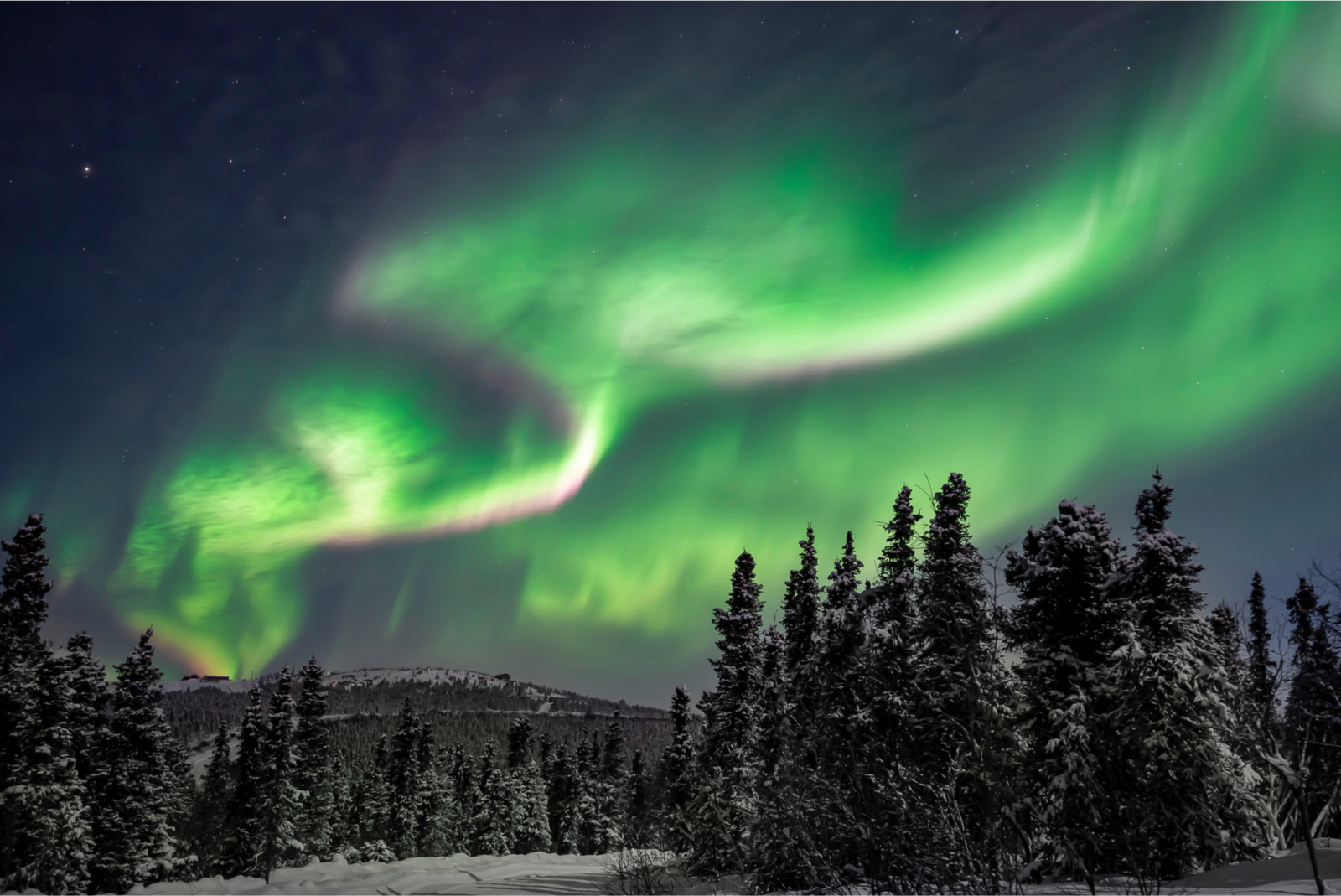 noorderlicht aurora borealis