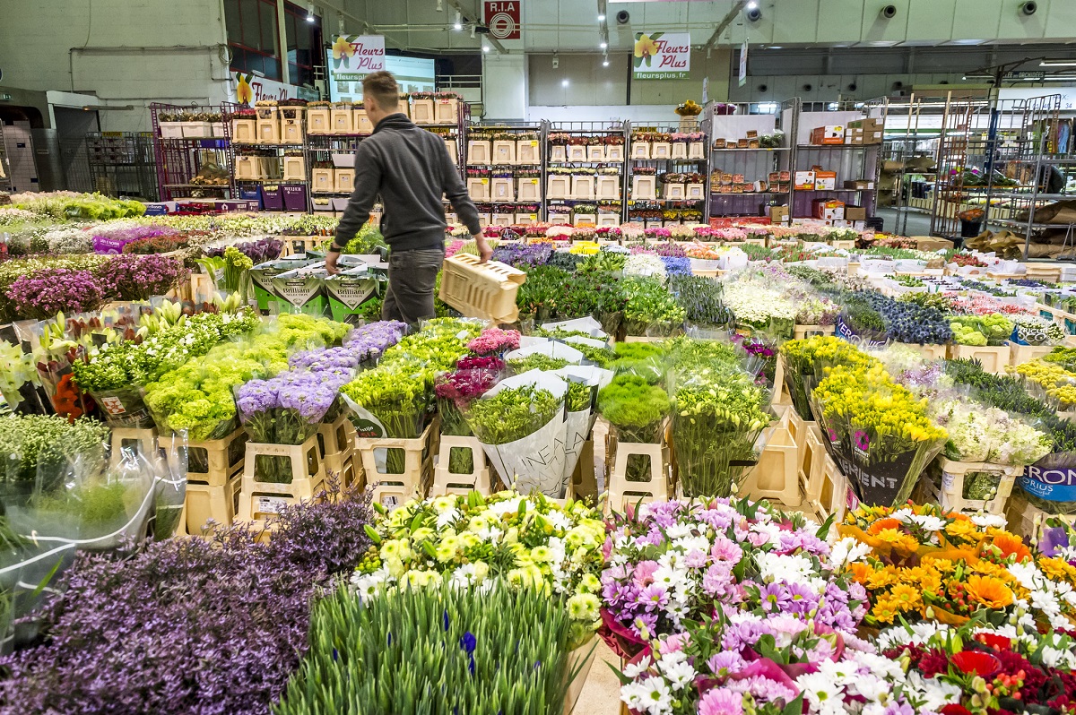 vroegmarkt rungis