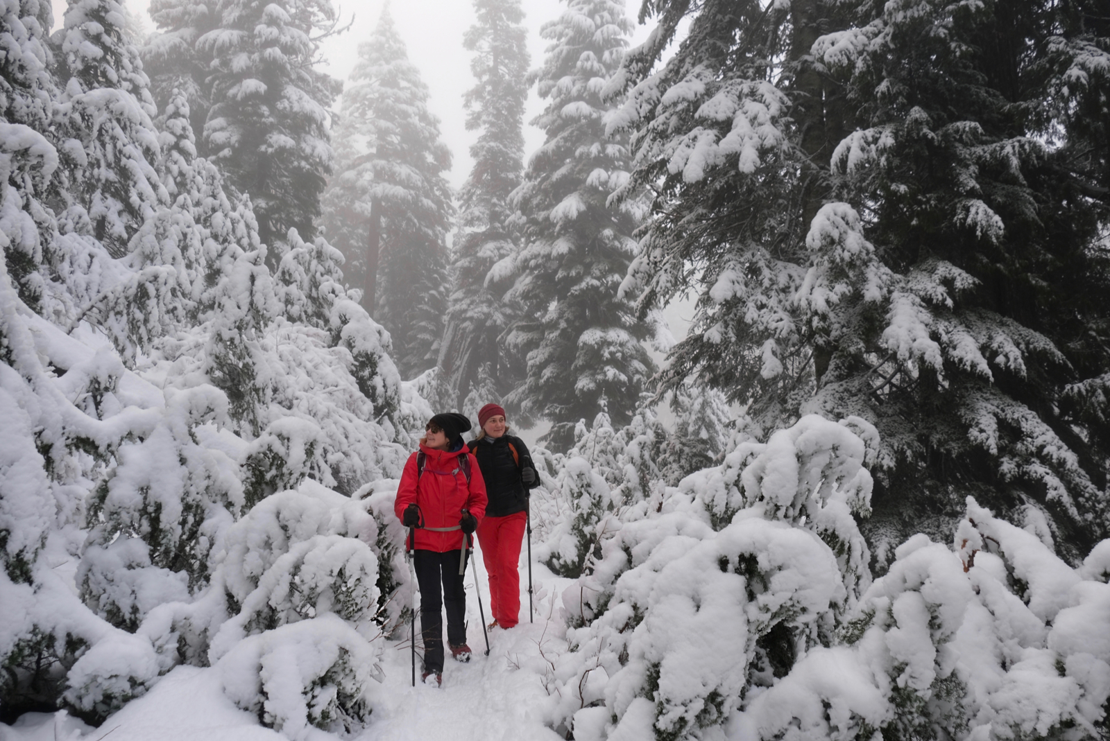 randonnée dans la neige