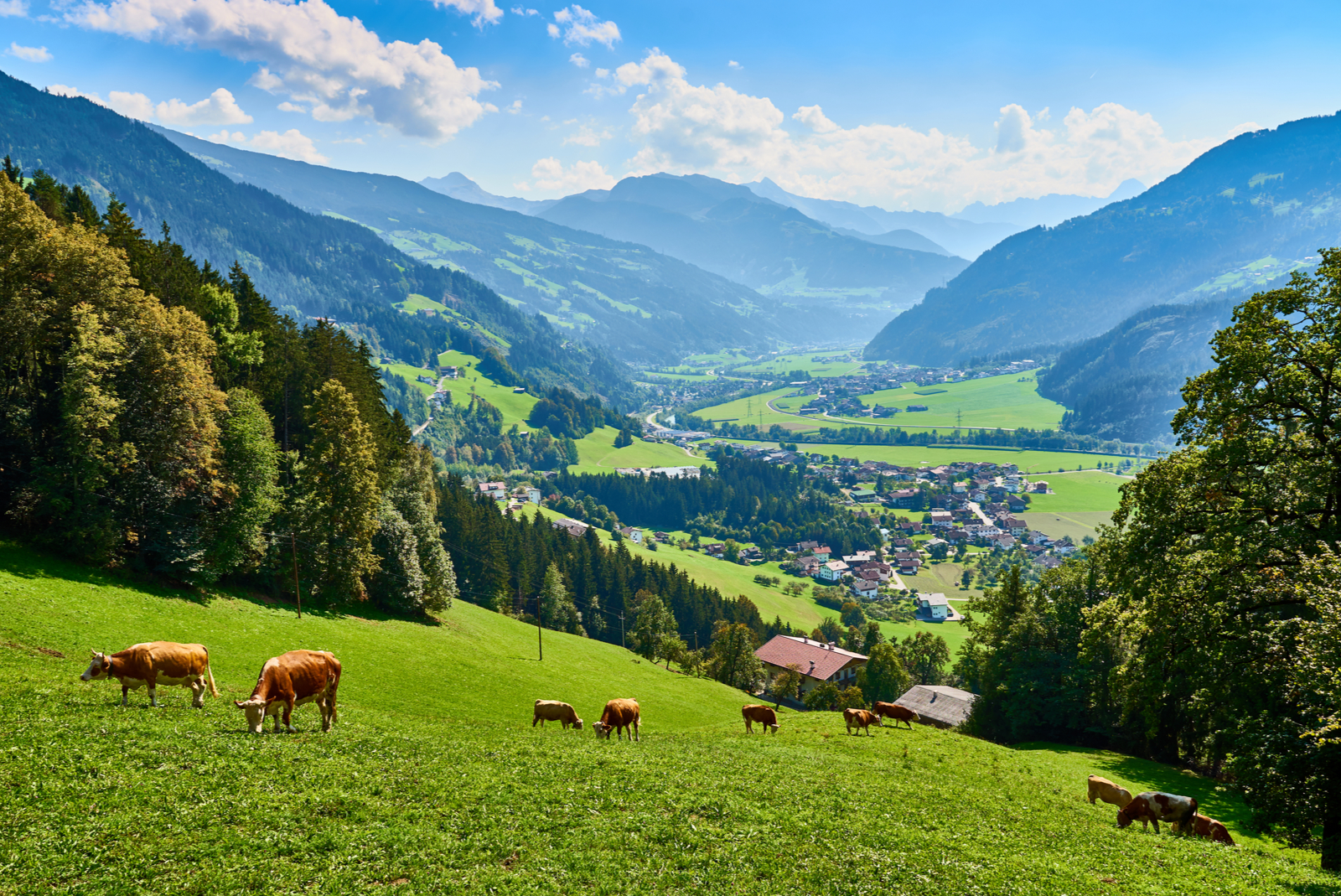 zillertal in tirol