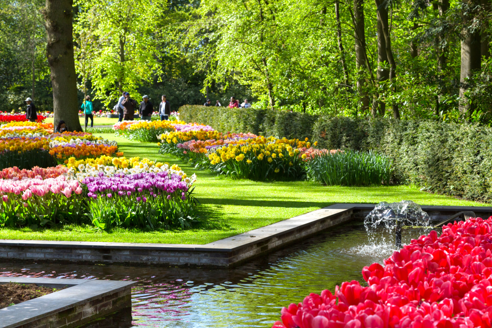 keukenhof