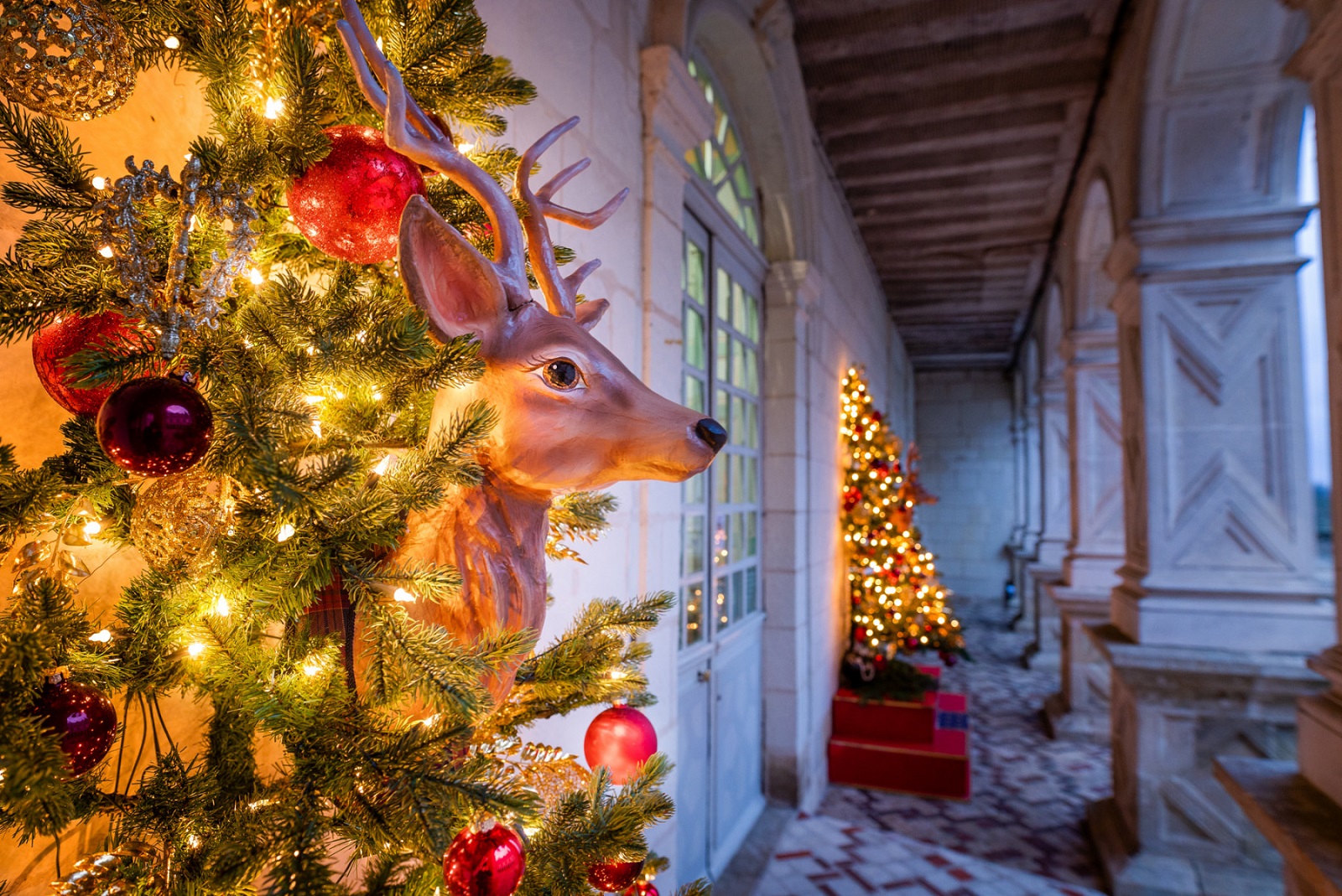 noël villandry loire