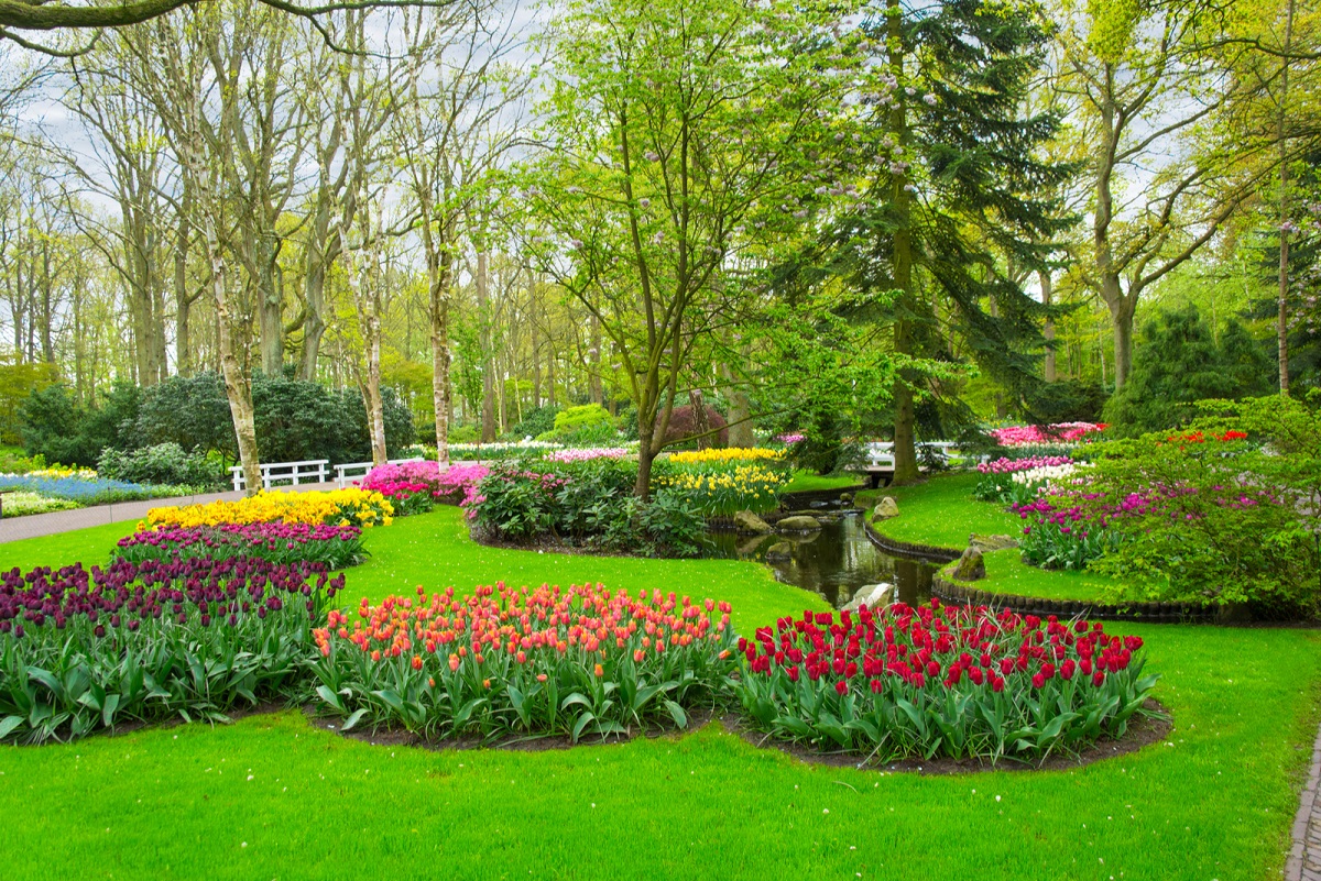 keukenhof parc printanier