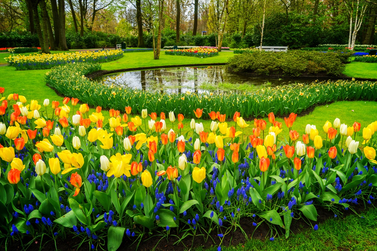 keukenhof