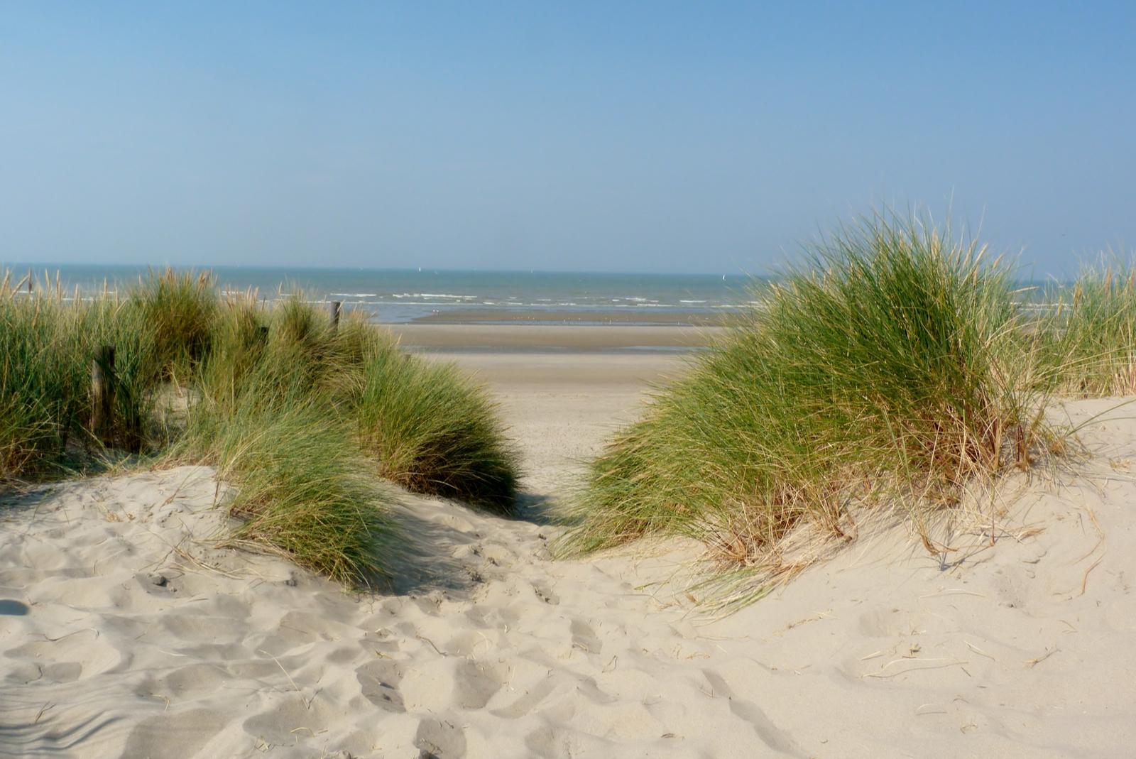 duinen blankenberge