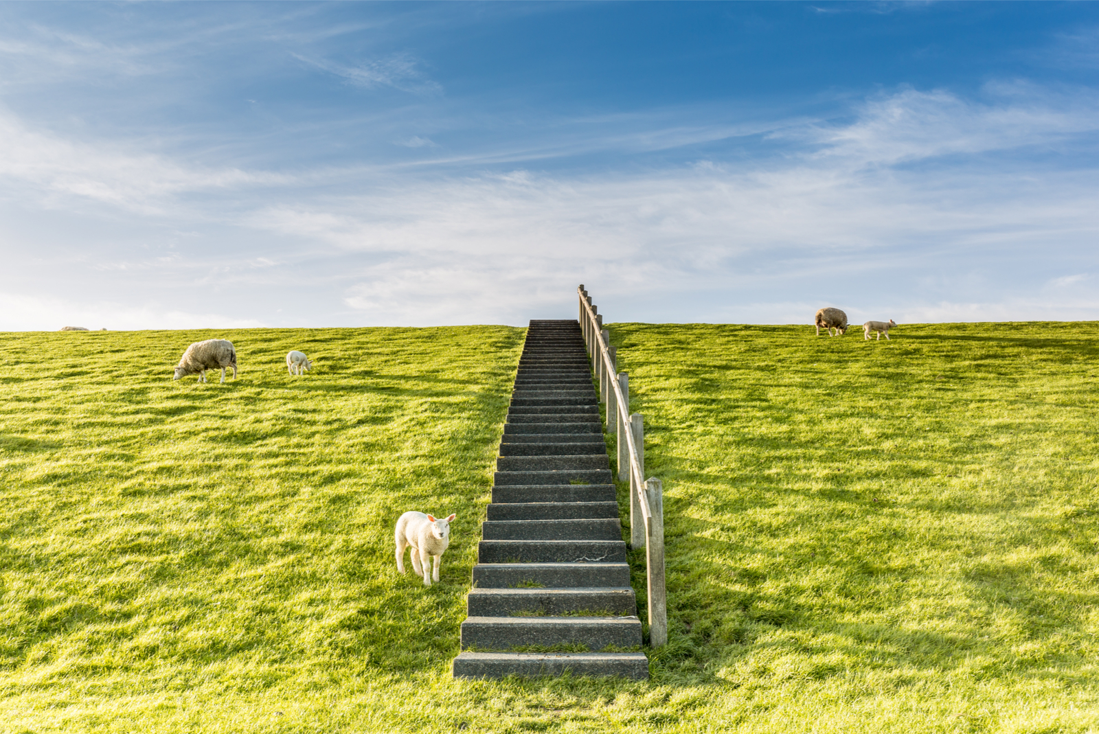 friesland dijk