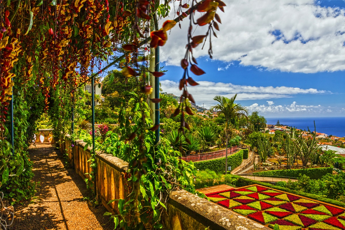 funchal botanische tuinen madeira