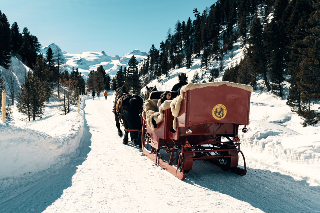 paardensleetocht in zwitserland