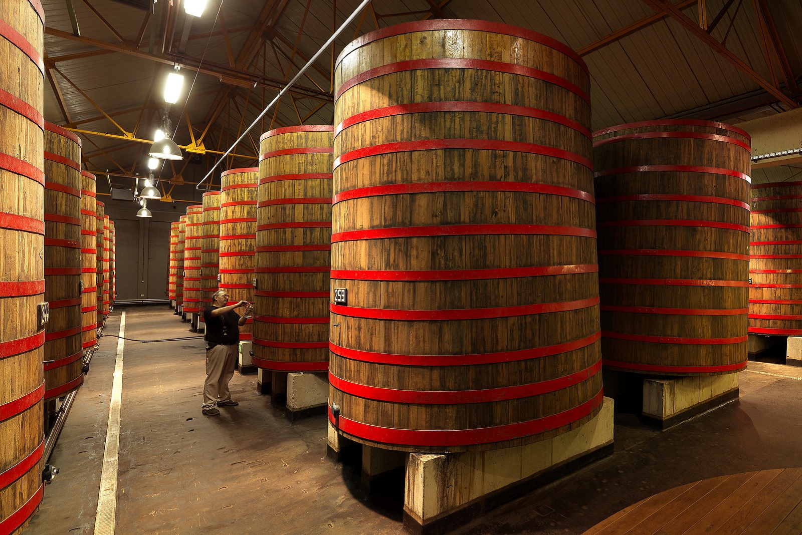 rodenbach brouwerij in roeselare