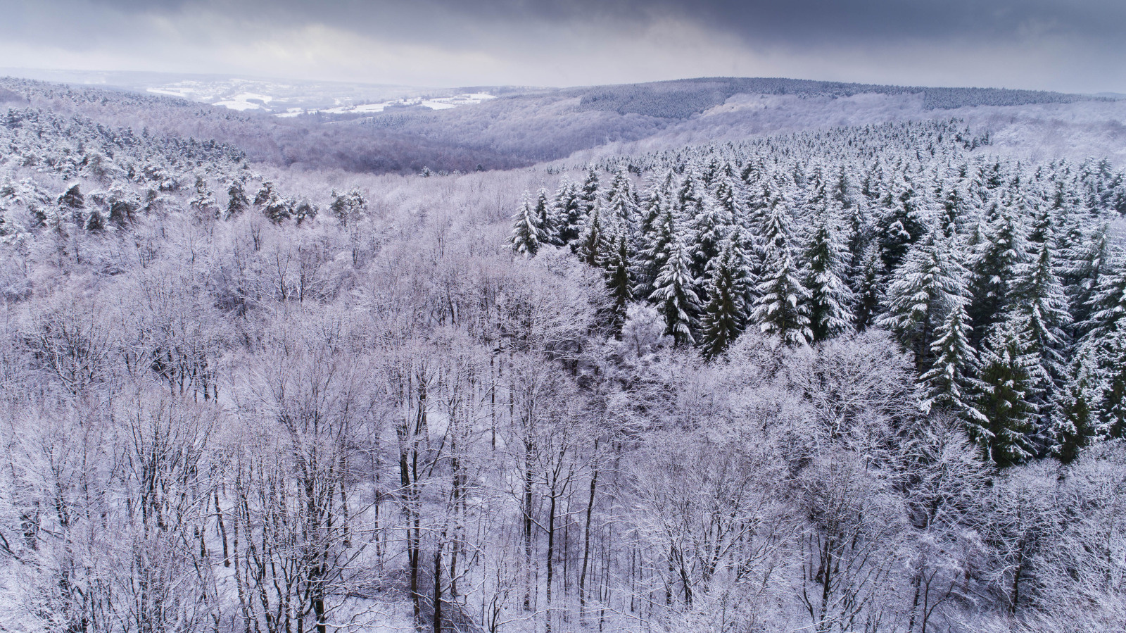 winter ardennen