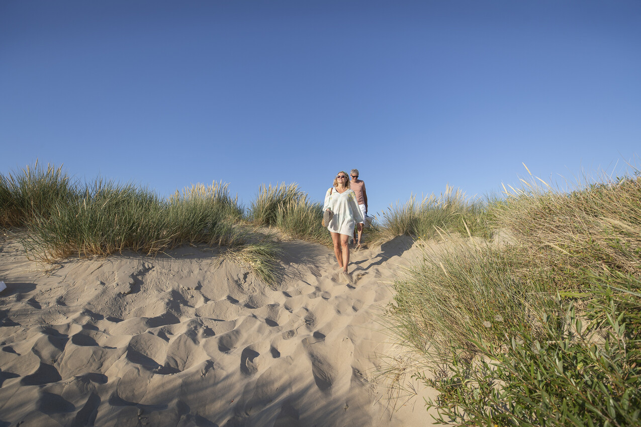 duinen in koksijde