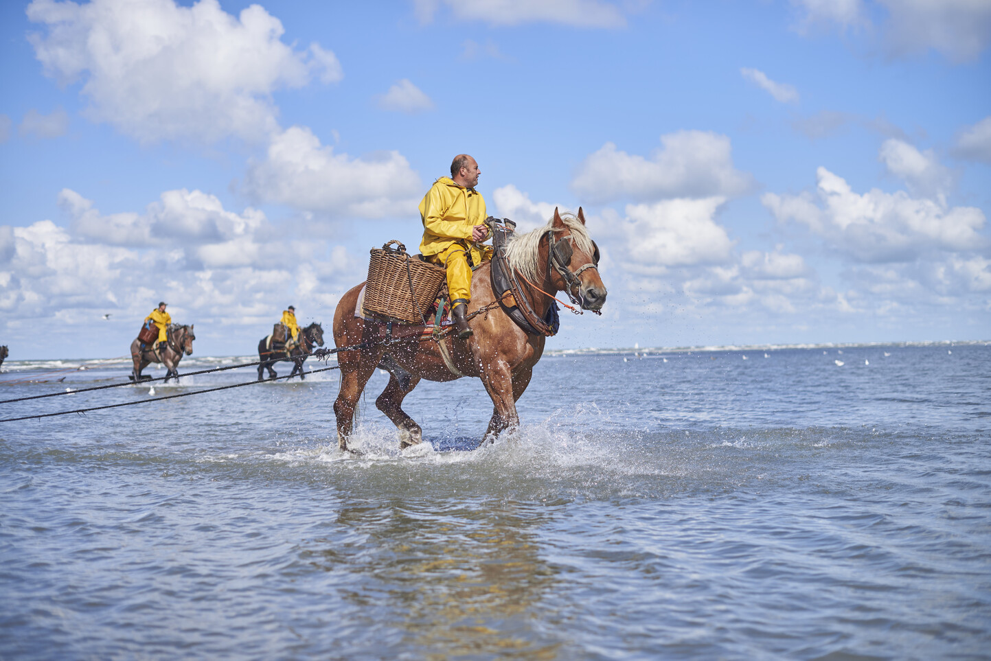 garnaalvissers oostduinkerke