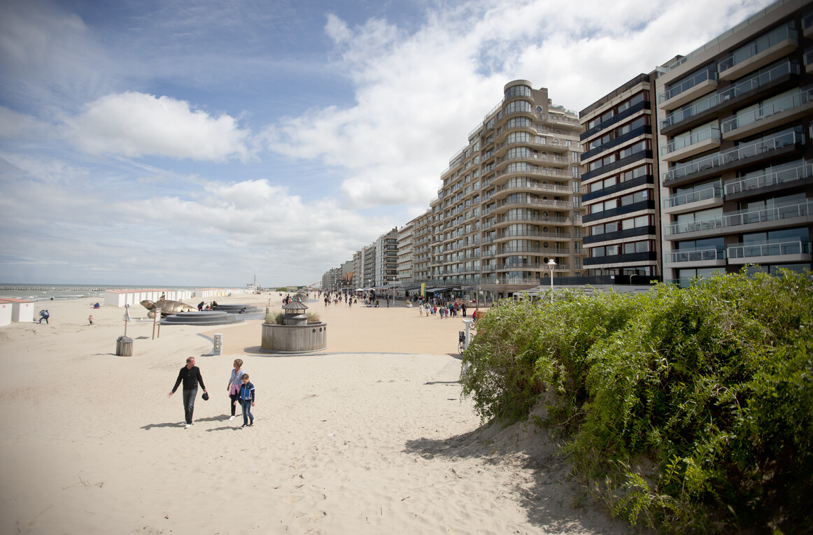 strand en zeedijk nieuwpoort