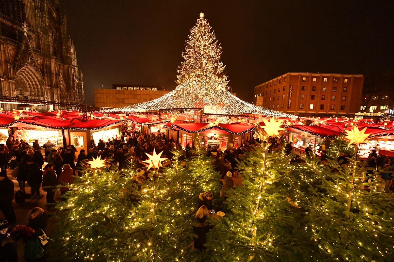 kerstboom kerstmarkt keulen