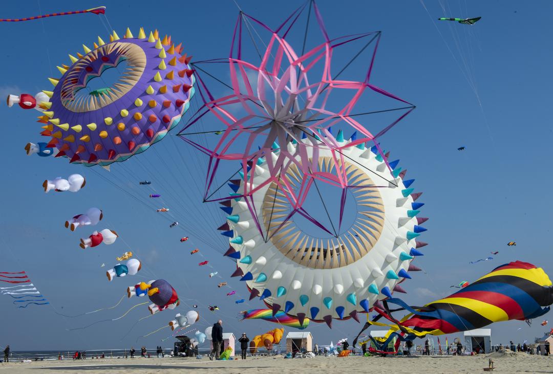 cerfs volants berck sur mer