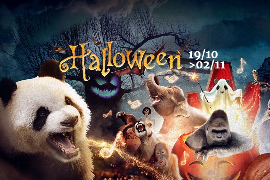 pairi daiza halloween