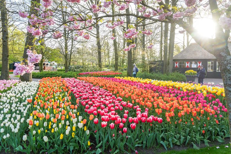 keukenhof lentepark