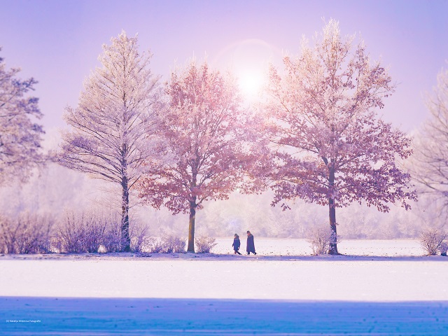 winter wandelen randonnées raquettes