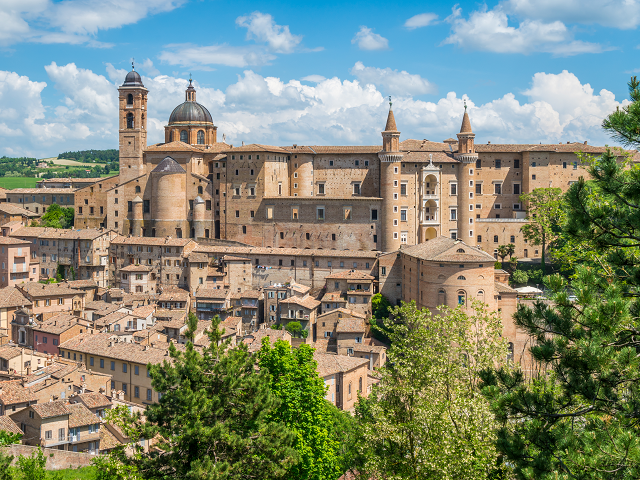 urbino